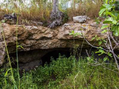 ...fino a un vasto avvallamento nel terreno colmato da folta vegetazione: siamo di fronte all�accesso dell�ipogeo